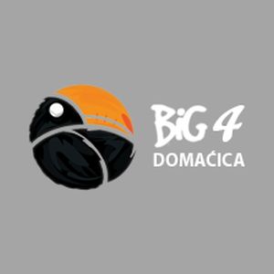 Logo of radio station BiG 4 Radio Domaćica