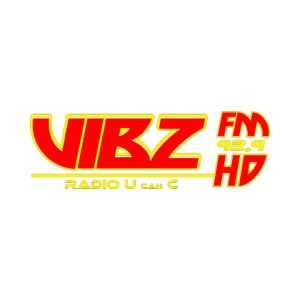 Logo of radio station VibzFM