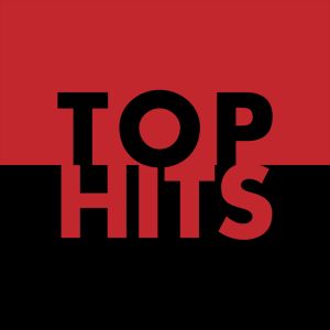 Logo of radio station Top Hits