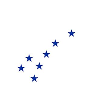 Logo of radio station Radio Northern Star - The Ferry