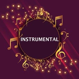 Logo of radio station VibeSounds Instrumental