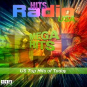 113.FM Hits USA