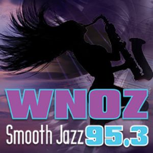 Logo of radio station WNOZ 95.3 FM