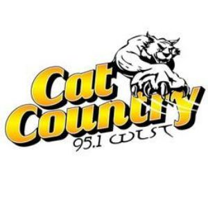 Logo of radio station WLST Cat Country 95.1 FM