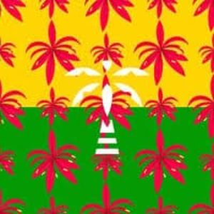 Logotipo de la emisora ​​de radio 1.FM - Reggaeton Heat