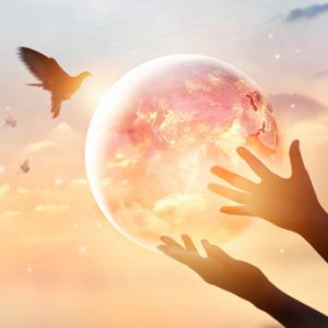 Logo of radio station Zen Radio - Reiki