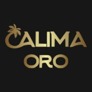 Logo of radio station Radio Calima Oro
