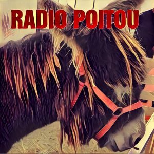 Logo of radio station Radio Poitou