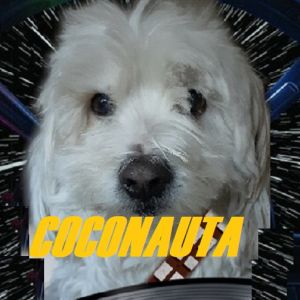 Logo de la station de radio Coconauta Radio