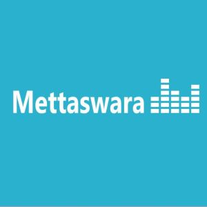 Logo of radio station Mettaswara Top 40