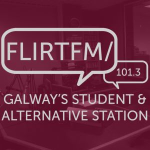 Logo of radio station Flirt FM 101.3