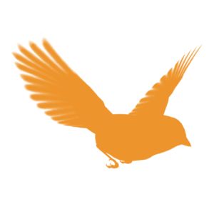 Logo of radio station Blackbird HD