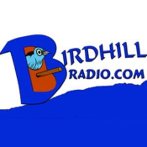 Logo of radio station Birdhill Radio