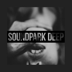 Logo of radio station Sound Park #DEEP